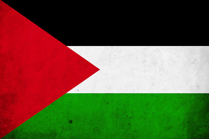 flag palestine